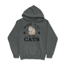 Load image into Gallery viewer, Funny I&#39;m Here To Pet All The Cats Cute Cat Lover Pet Owner Design ( - Dark Grey Heather
