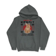Load image into Gallery viewer, Chinese Year Of Rabbit 2023 Chinese Aesthetic Graphic (Front Print) - Dark Grey Heather
