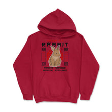Load image into Gallery viewer, Chinese Year Of Rabbit 2023 Chinese Aesthetic Graphic (Front Print) - Red
